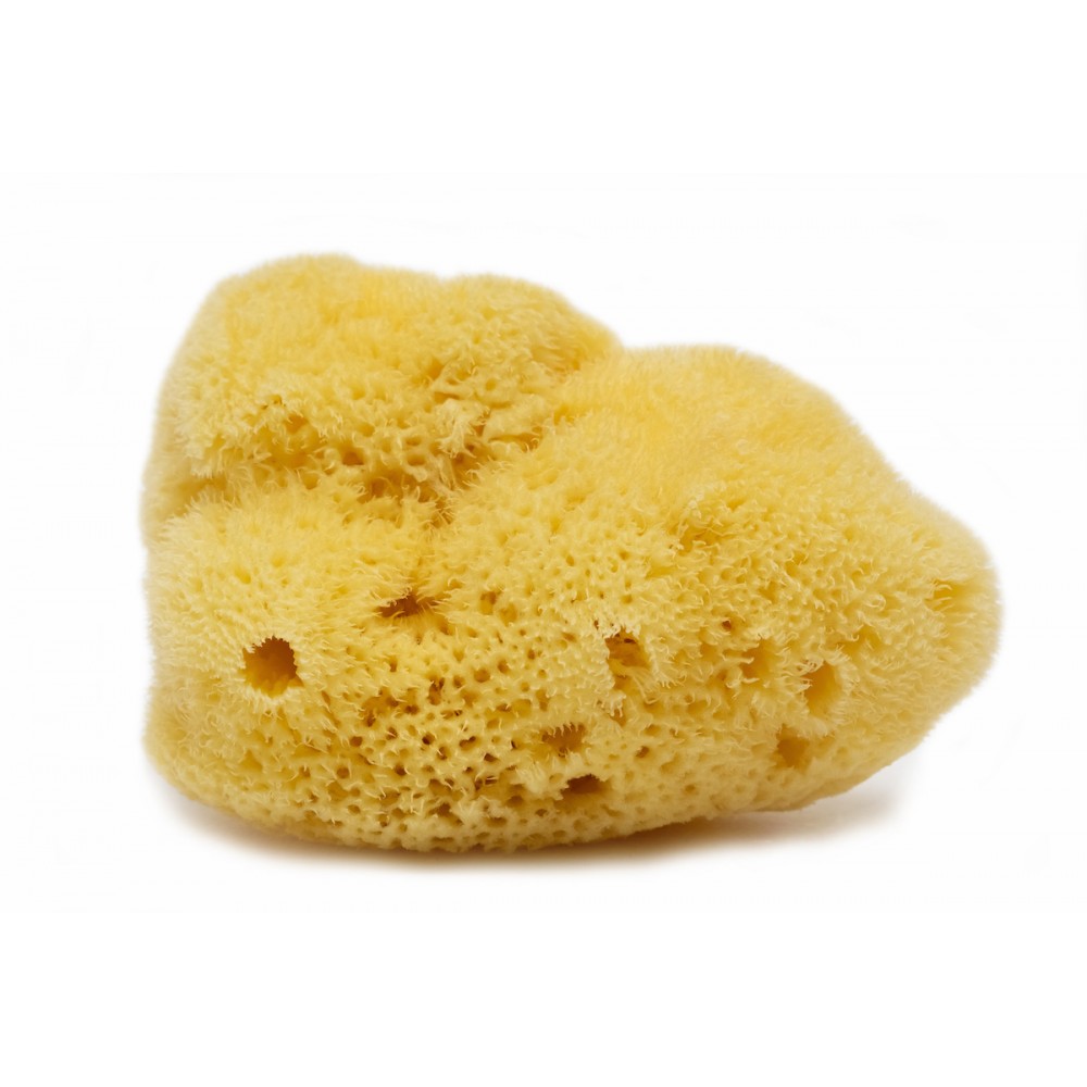 Fine Silk Natural Sponge (Yellow)