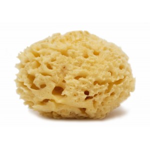 Honeycomb Natural Sponge (Yellow)