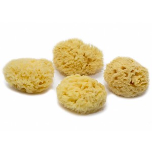 Honeycomb Natural Sponge (Yellow)